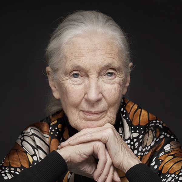 JANE GOODALL.